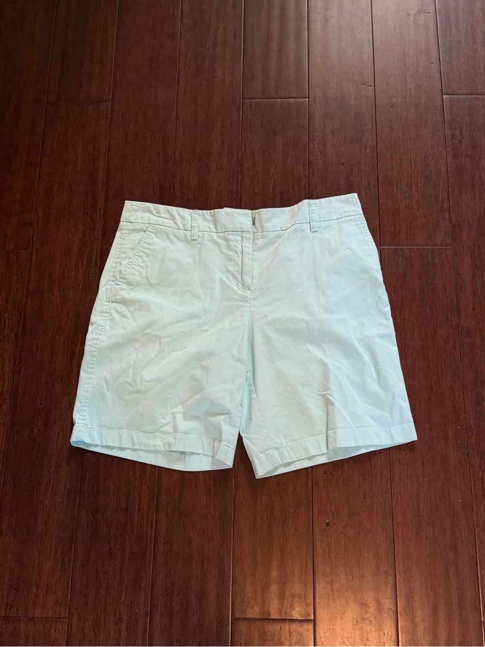 Cambridge Dry Goods Teal Men’s Shorts